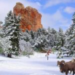 tr-a-cheap-and-magical-weekend-in-the-snow