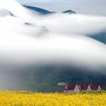 tr-a-yellow-dreamscape-hidden-from-reality