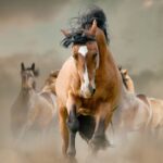 w-mustang-teases-new-model-with-powerful-promo