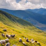 w-the-best-locations-for-a-rural-holiday