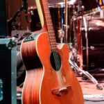 the-unplugged-concert-well-always-remember