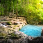 w-we-might-have-just-discovered-the-fountain-of-youth